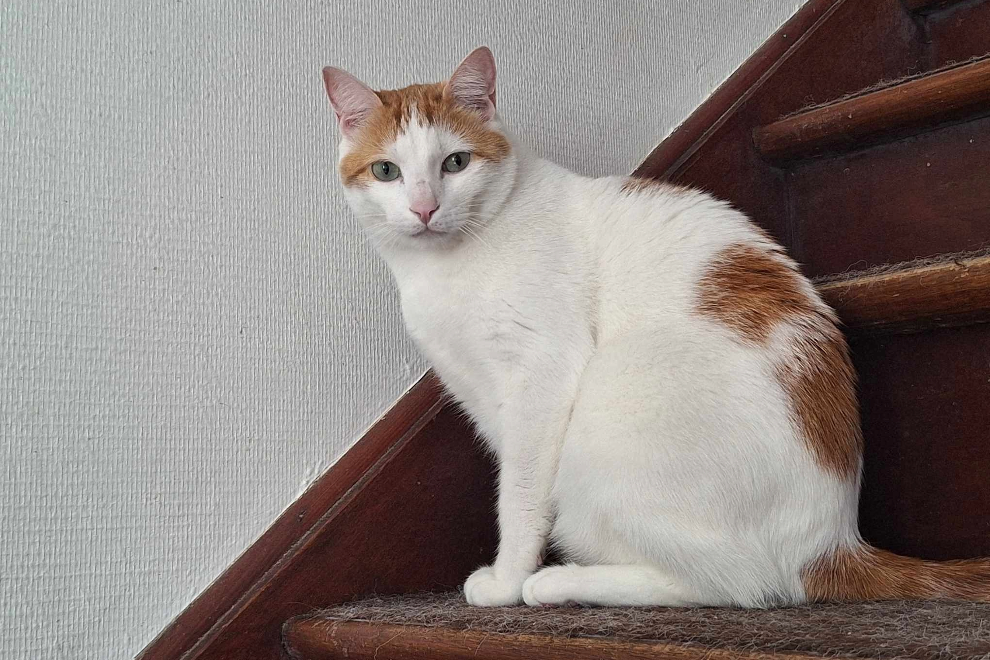 SIRIUS